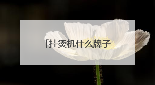 挂烫机什么牌子好？十款热门机型排行榜全测评