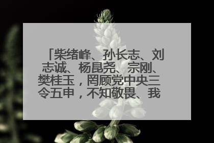 柴绪峰、孙长志、刘志诚、杨昆尧、宗刚、樊桂玉，罔顾党中央三令五申，不知敬畏、我行我素、肆意妄为！