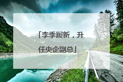 李季履新，升任央企副总