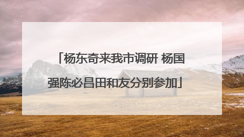 杨东奇来我市调研 杨国强陈必昌田和友分别参加