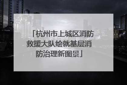 杭州市上城区消防救援大队绘就基层消防治理新图景