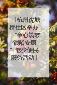 杭州沈塘桥社区举办“童心筑梦·银龄安康”老少便民服务活动