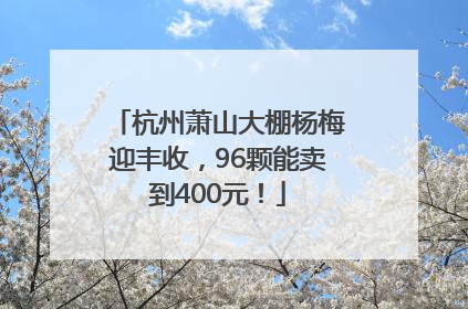 杭州萧山大棚杨梅迎丰收，96颗能卖到400元！