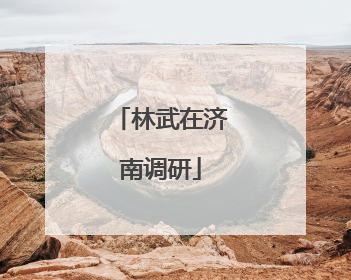 林武在济南调研