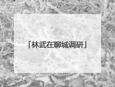 林武在聊城调研
