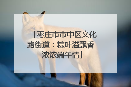 枣庄市市中区文化路街道：粽叶溢飘香 浓浓端午情