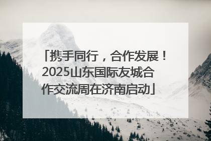 携手同行，合作发展！2025山东国际友城合作交流周在济南启动