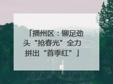 播州区：铆足劲头“抢春光”全力拼出“首季红”
