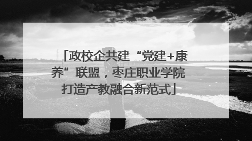 政校企共建“党建+康养”联盟，枣庄职业学院打造产教融合新范式