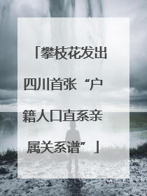 攀枝花发出四川首张“户籍人口直系亲属关系谱”
