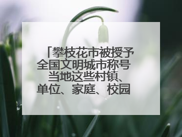 攀枝花市被授予全国文明城市称号 当地这些村镇、单位、家庭、校园也是全国文明！
