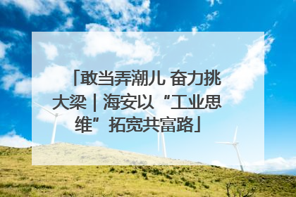 敢当弄潮儿 奋力挑大梁｜海安以“工业思维”拓宽共富路