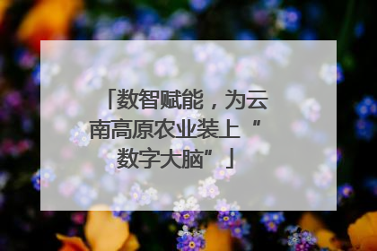 数智赋能，为云南高原农业装上“数字大脑”
