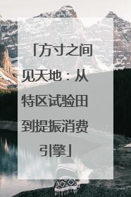 方寸之间见天地：从特区试验田到提振消费引擎
