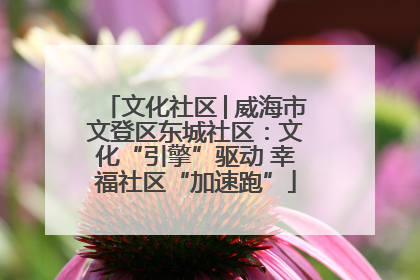文化社区│威海市文登区东城社区：文化“引擎”驱动 幸福社区“加速跑”
