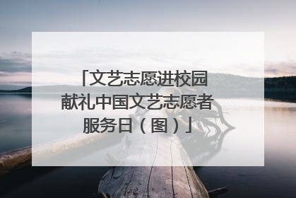 文艺志愿进校园 献礼中国文艺志愿者服务日（图）