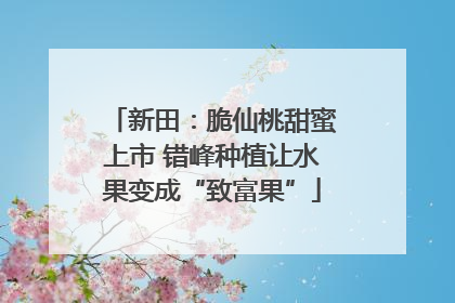 新田：脆仙桃甜蜜上市 错峰种植让水果变成“致富果”