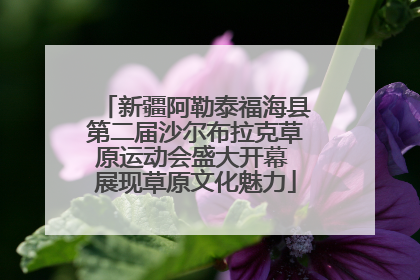 新疆阿勒泰福海县第二届沙尔布拉克草原运动会盛大开幕 展现草原文化魅力