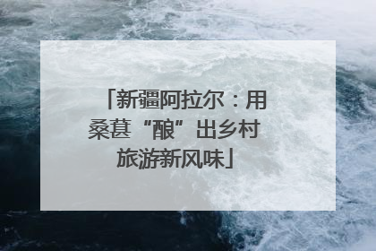 新疆阿拉尔：用桑葚“酿”出乡村旅游新风味