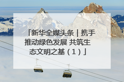 新华全媒头条｜携手推动绿色发展 共筑生态文明之基（1）