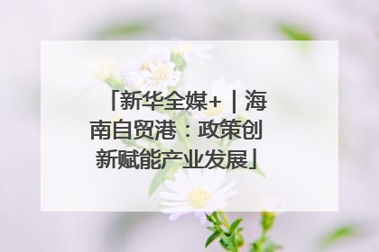 新华全媒+｜海南自贸港：政策创新赋能产业发展