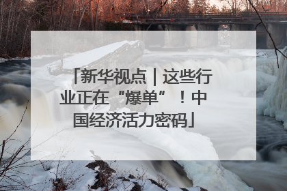 新华视点｜这些行业正在“爆单”！中国经济活力密码