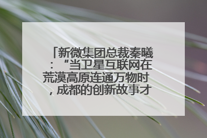 新微集团总裁秦曦：“当卫星互联网在荒漠高原连通万物时，成都的创新故事才真正开始”