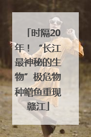 时隔20年！“长江最神秘的生物”极危物种鳤鱼重现赣江
