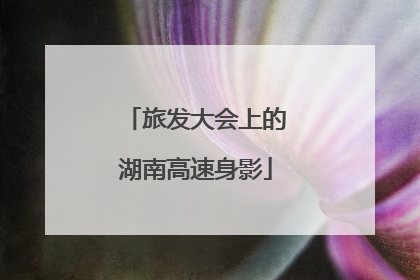 旅发大会上的湖南高速身影