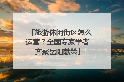 旅游休闲街区怎么运营？全国专家学者齐聚岳阳献策