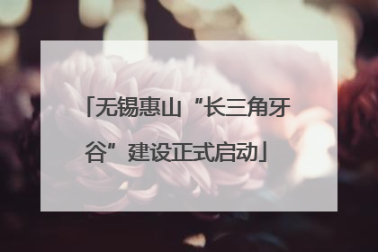 无锡惠山“长三角牙谷”建设正式启动