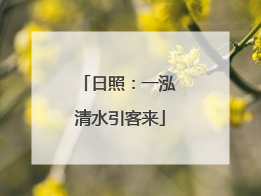 日照：一泓清水引客来
