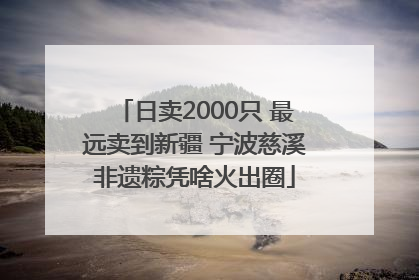 日卖2000只 最远卖到新疆 宁波慈溪非遗粽凭啥火出圈