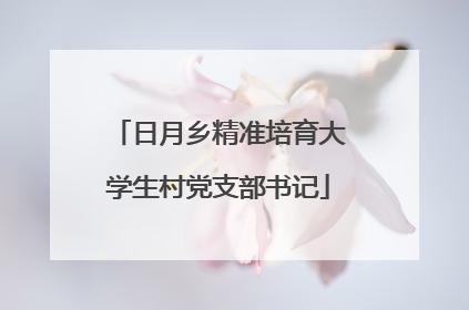 日月乡精准培育大学生村党支部书记