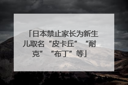 日本禁止家长为新生儿取名“皮卡丘”“耐克”“布丁”等