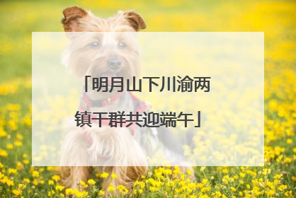 明月山下川渝两镇干群共迎端午