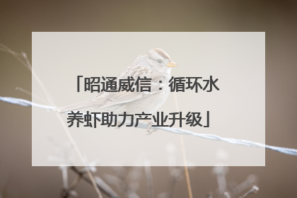 昭通威信：循环水养虾助力产业升级
