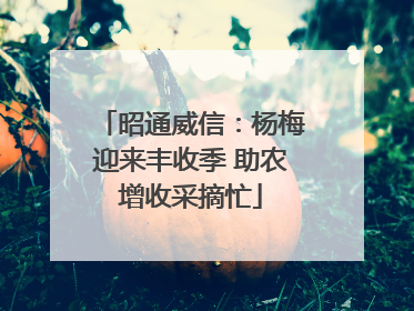 昭通威信：杨梅迎来丰收季 助农增收采摘忙
