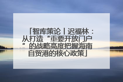 智库策论丨迟福林：从打造“重要开放门户”的战略高度把握海南自贸港的核心政策