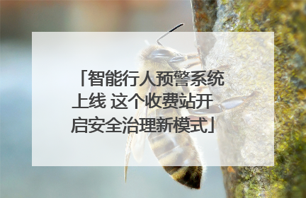 智能行人预警系统上线 这个收费站开启安全治理新模式