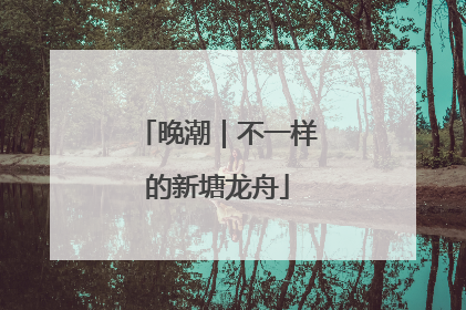 晚潮｜不一样的新塘龙舟