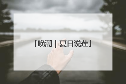 晚潮｜夏日说莲
