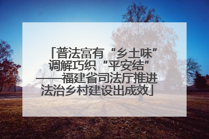 普法富有“乡土味” 调解巧织“平安结”——福建省司法厅推进法治乡村建设出成效