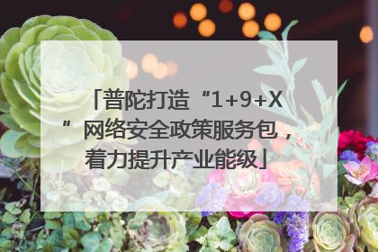 普陀打造“1+9+X”网络安全政策服务包，着力提升产业能级