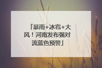 暴雨+冰雹+大风！河南发布强对流蓝色预警