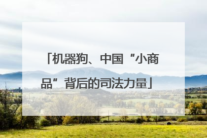 机器狗、中国“小商品”背后的司法力量