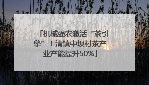 机械强农激活“茶引擎”！清镇中坝村茶产业产能提升50%