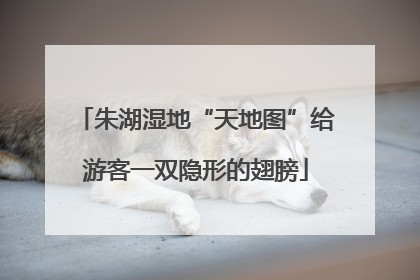 朱湖湿地“天地图”给游客一双隐形的翅膀