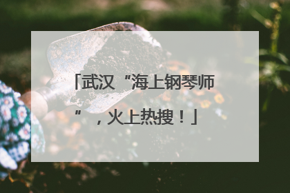 武汉“海上钢琴师”，火上热搜！