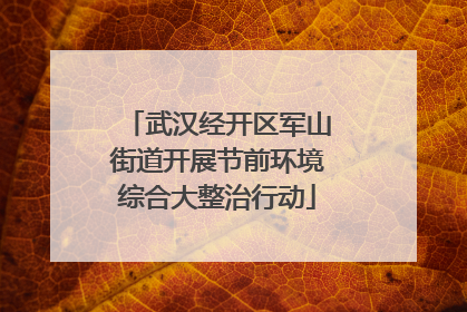 武汉经开区军山街道开展节前环境综合大整治行动